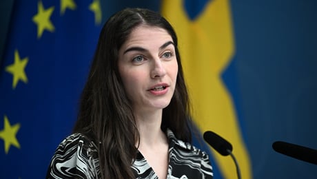 Trots regeringsbeslut – miljöorganisation ger inte upp flygplatsstriden