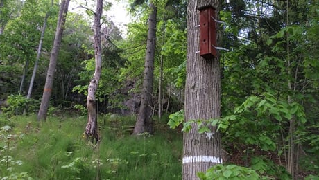 JK: Nya naturreservat tar för lång tid
