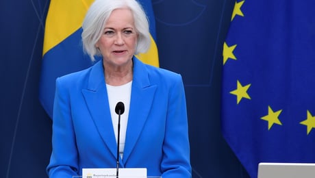 Aleris: Rikta blicken mot Danmark, Acko Ankarberg Johansson
