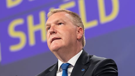 Så ska EU öka skyddet för demokratin: ”Mycket står på spel”