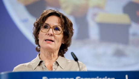 Enklare miljöregler ska minska företagens kostnader – slår mot miljön anser kritiker