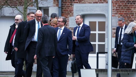 Regeringsledare utmanar hörnstenen i Europas gröna omställning