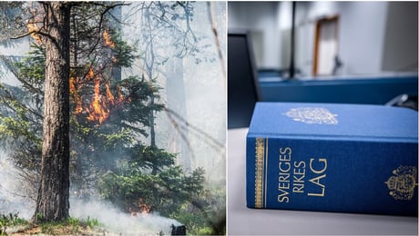 Experter: Ungdomarna som stämmer staten har rätt