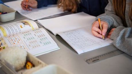 Nytt friskoleråd kritiseras