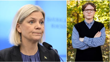 Luf: Socialdemokraternas försvarspolitik är skadlig för Sverige