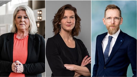 Ny strategi markerar ett paradigmskifte i arbetet mot mäns våld mot kvinnor 