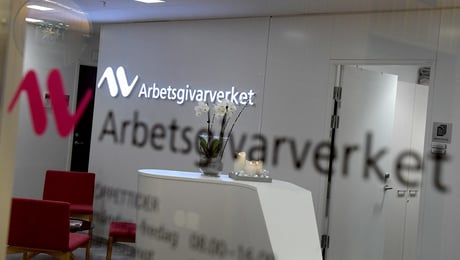 Varningen: Dyra reformer pressar myndigheternas ekonomi