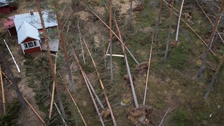 Skogsstyrelsen varnar regeringen för att lätta på fridlysningsregler