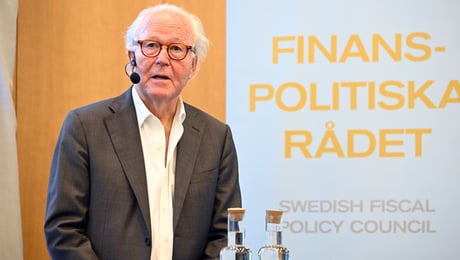 Expertrådet sågar regeringens stöd: ”Populistisk politik”