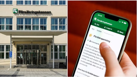 Facket varnar: Försäkringskassans nya IT-system kan skapa säkerhetsproblem
