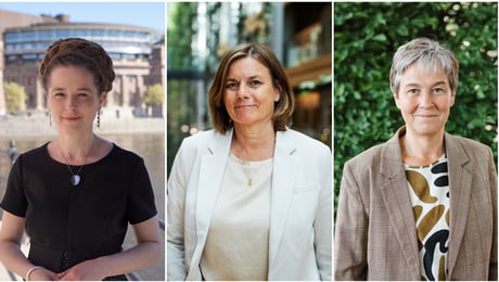 MP: Vi måste inte fiska upp allt som finns i haven