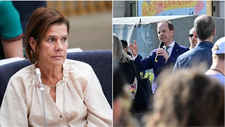 Elsa Widding: Slå ihop partiet med AFS
