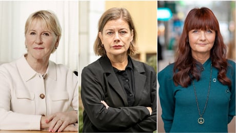 Sverige och EU måste göra mer för att stoppa bosättarvåldet
