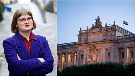 Släpp lös paragrafryttarna och skapa ordning i Sveriges riksdag