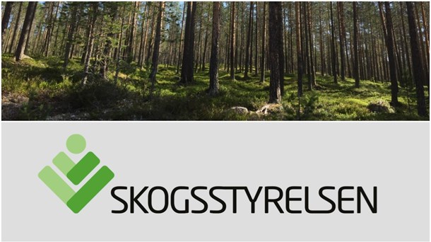 Kritiserat nyckelbiotopsförslag ut på remiss