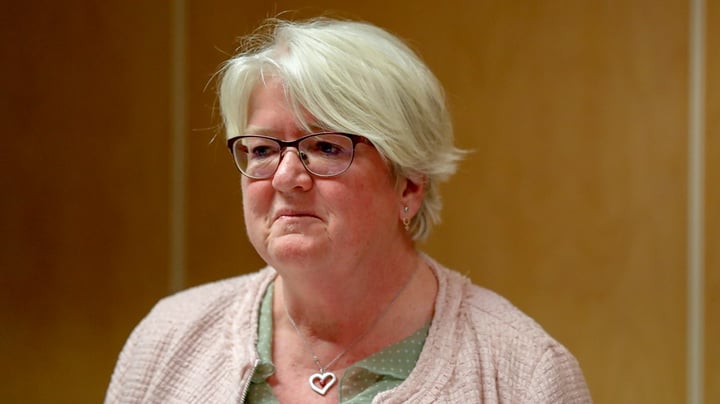 Carina Ohlsson vill fortsätta utreda 