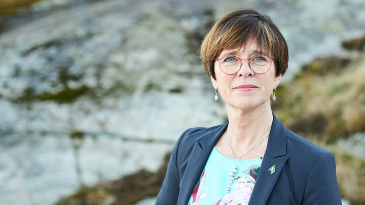 C förespråkar infrastrukturberedning: Bort med lappkast i politiken
