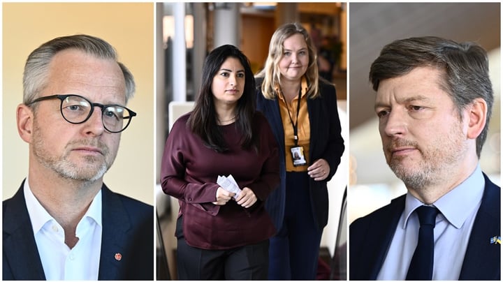 S vill ha kvar satsningen på rot – V och MP vill slopa