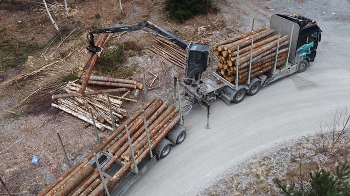 Skogsstyrelsens egna medgivande visar varför JO-anmälan är nödvändig 