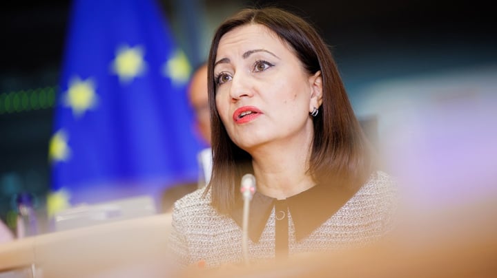 EU:s vakthund varnar för risker med ny jordbrukspolitik: ”Kan inte följa pengarna”