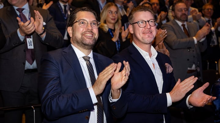 När Liberalerna internbråkar ihjäl sig sitter Åkesson och tittar på