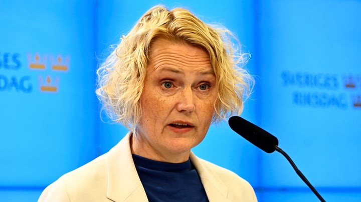 Anna-Karin Hatts nya chefsjobb