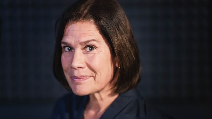 Har riksdagen satt rekord i antal politiska vildar? 