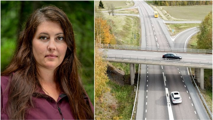 ”Skrota myten om att klimatomställningen gör allt dyrare”