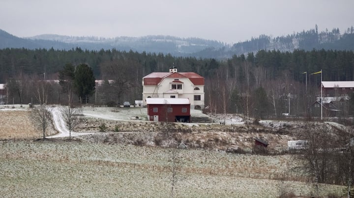 Experter varnar för att frånta regionerna utvecklingsansvaret