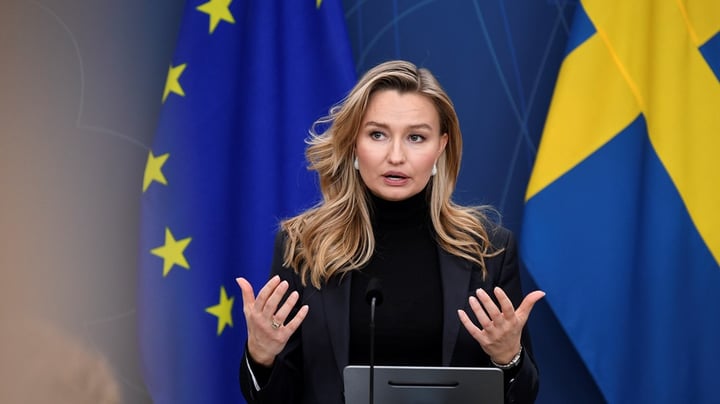 Ny grupp ska stärka Sveriges röst i EU:s förenklingsarbete