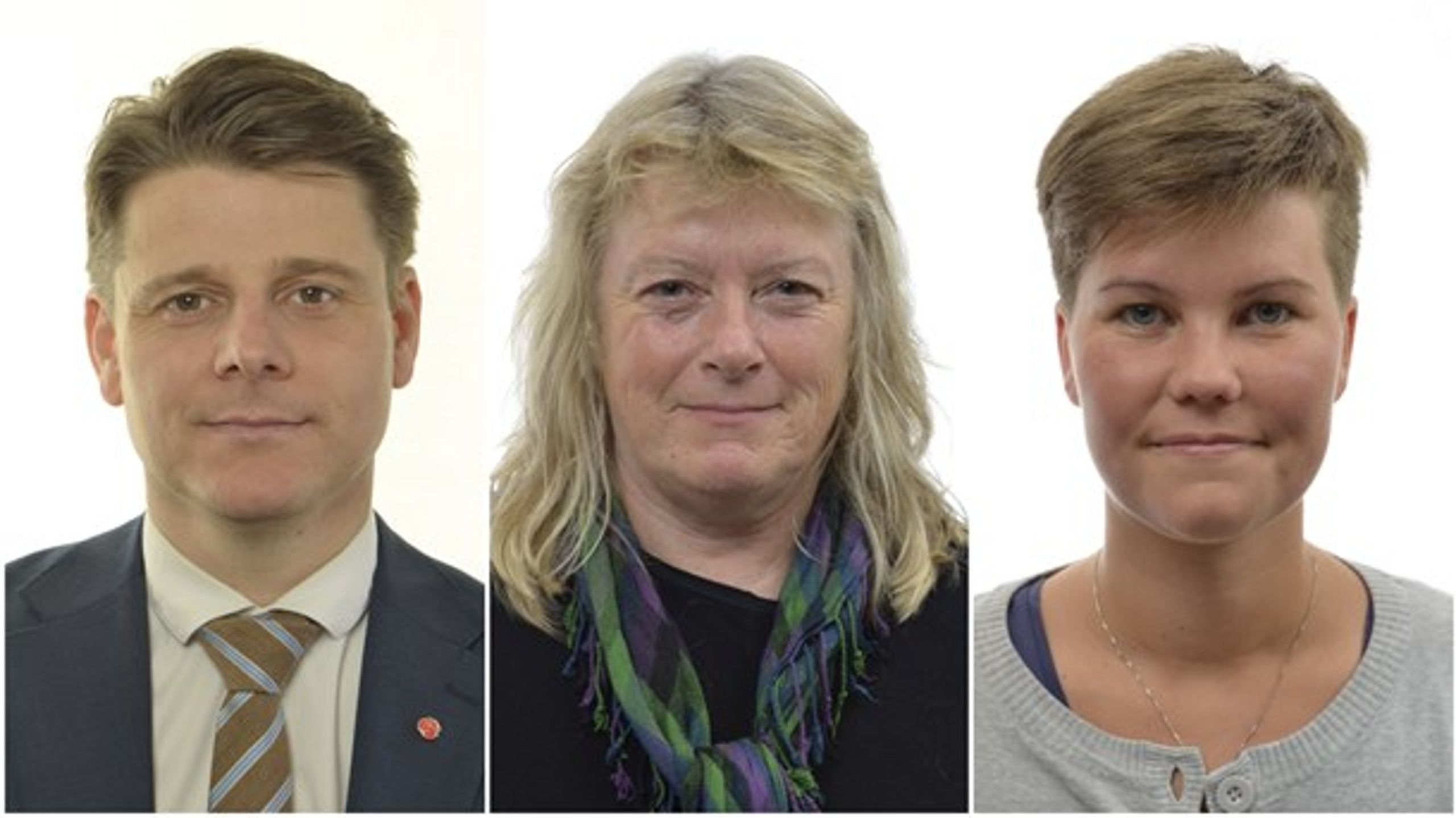 Niklas Karlsson (S), Elisabeth Falkhaven (MP) och Hanna Gunnarsson (V) är nya ansikten i försvarsutskottet.