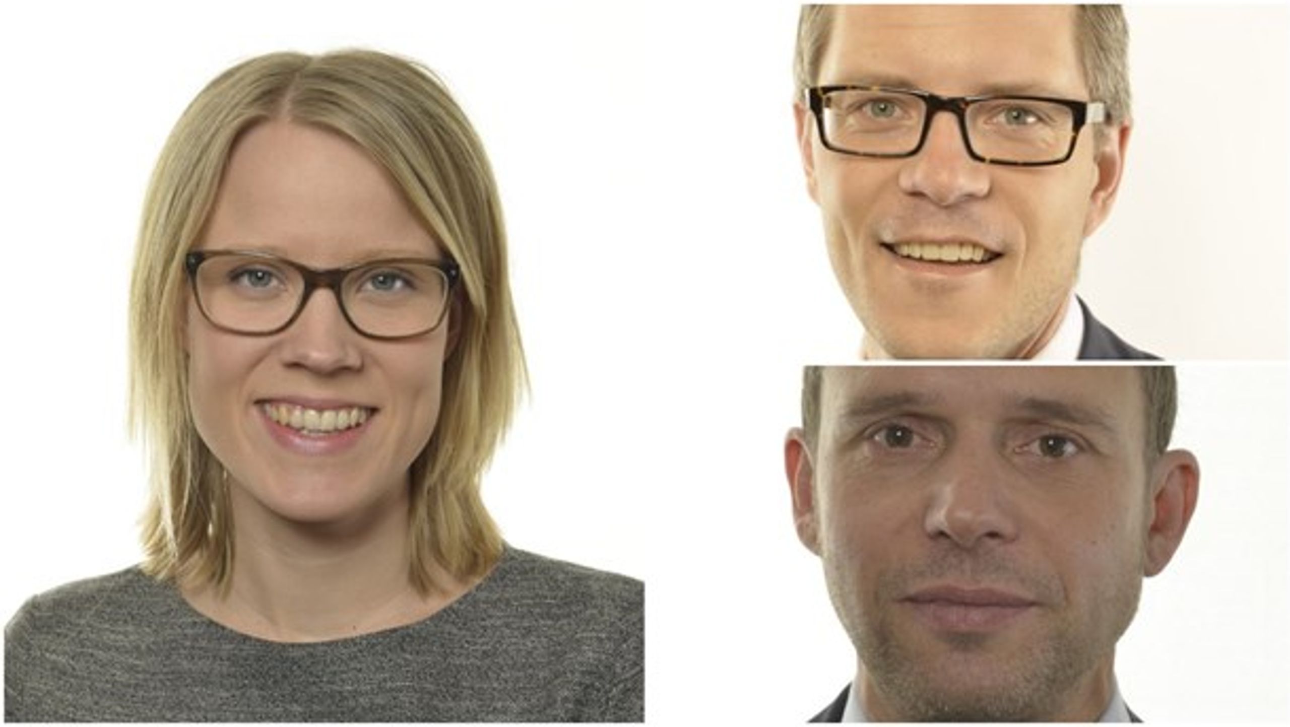 Kristina Yngwe (C) ska under de kommande fyra åren leda arbetet i miljö- och jordbruksutskottet, Lars Hjälmered (M) i näringsutskottet och Jens Holm (V) i trafikutskottet.
