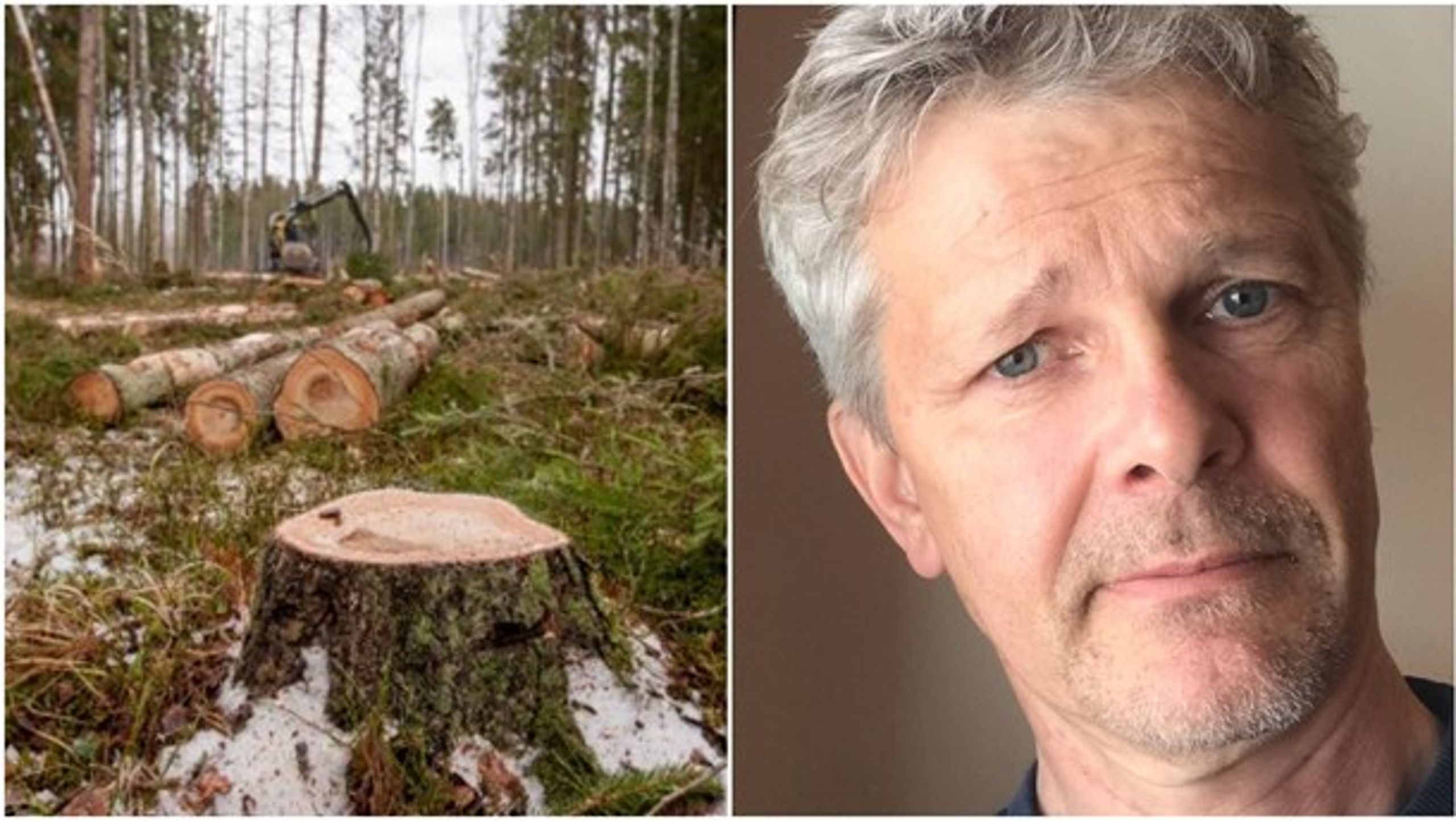 Kommer den skog som mina förfäder sparat för framtida generationsskiften att kunna brukas? Den frågan är en realitet för många skogsägare i dag, enligt Anders Pettersson, VAF.