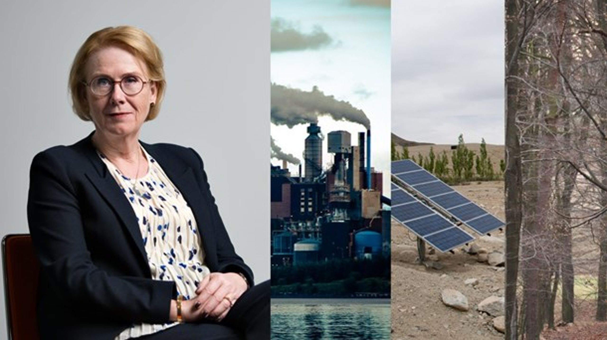 Åsa-Britt Karlsson är till vardags generaldirektör för SGI. I somras fick hon regeringens uppdrag att ta fram en strategi för negativa utsläpp för växthusgaser.