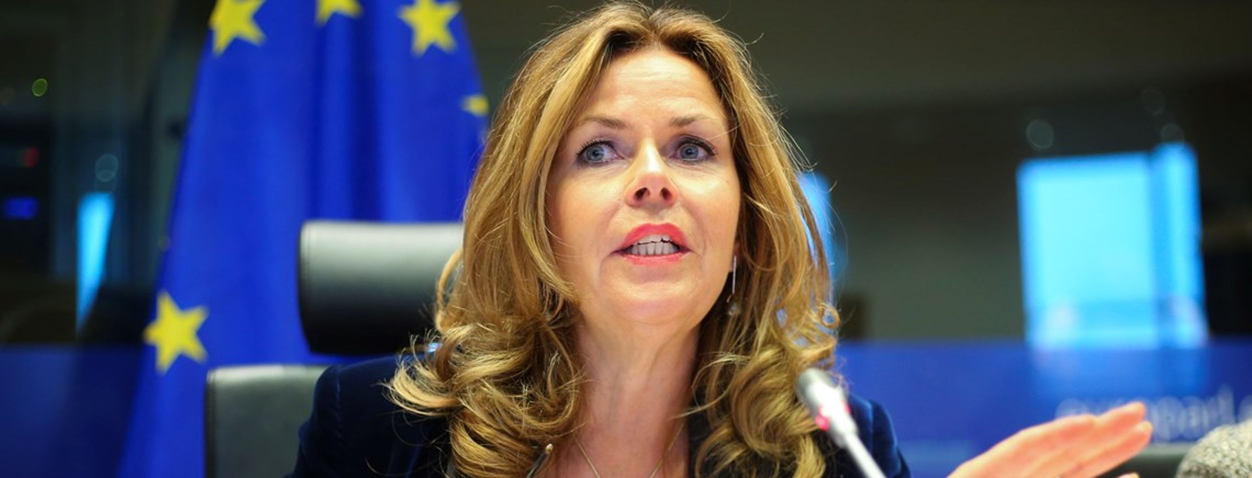 Cecilia Wikström, EU-parlamentariker (L)