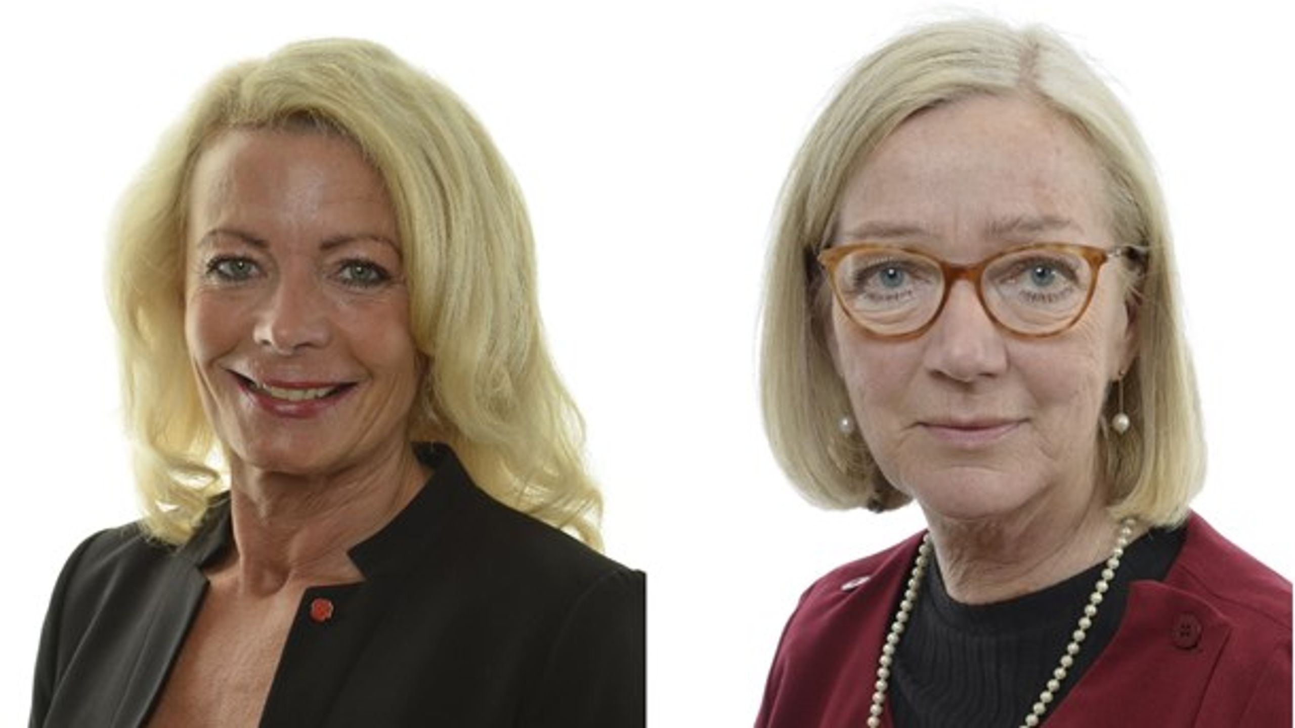 Pia Nilsson och Anna-Lena Sörenson är två av de som blir ordinarie partistyrelseledamöter.