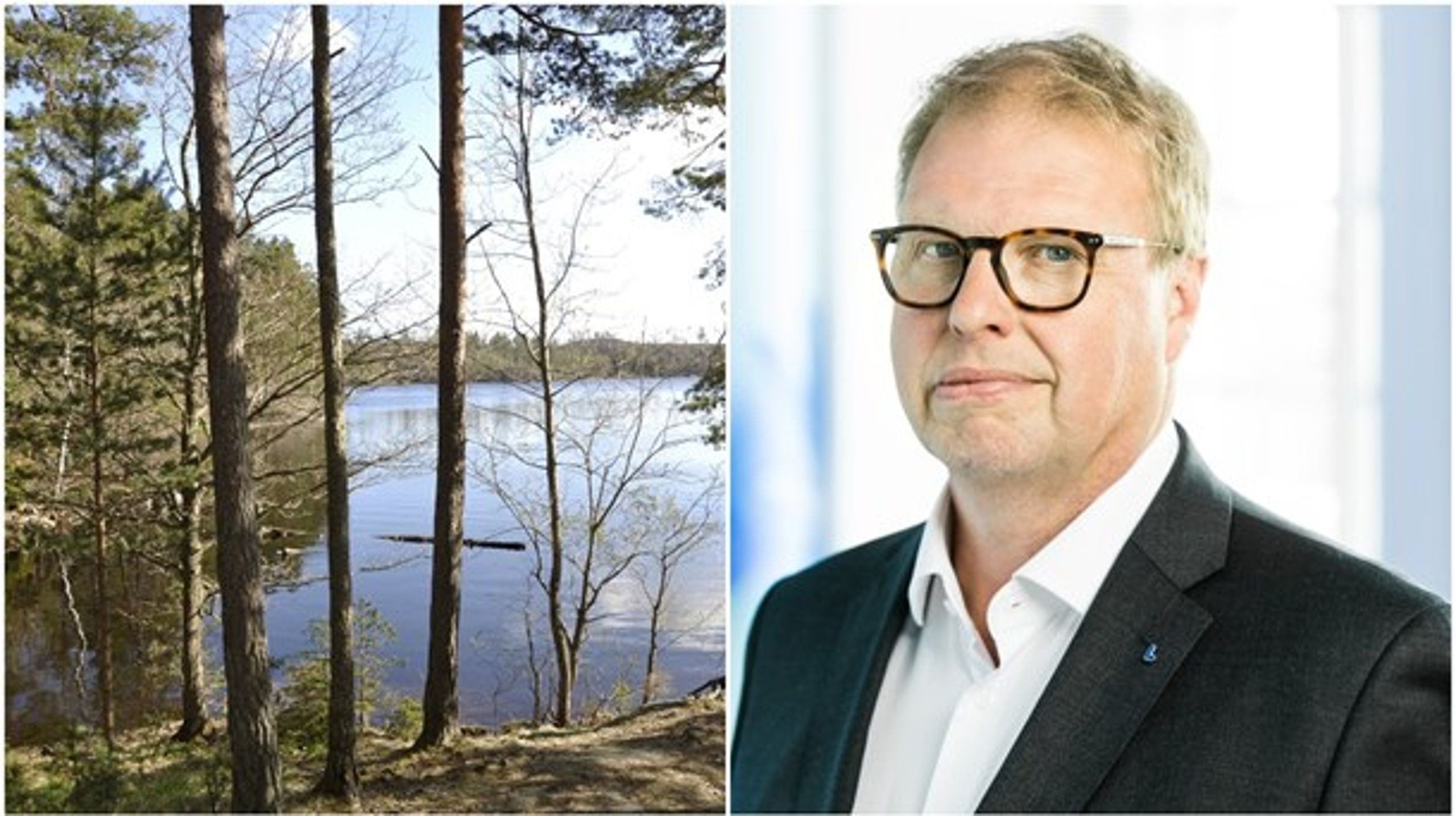 Från äganderätt i skogen till en bred parlamentarisk grundlagsutredning om äganderättsfrågor. KU-ledamot Bengt Eliasson (L) säger att tillkännagivandet blir ett kort i förhandlingarna med regeringen.