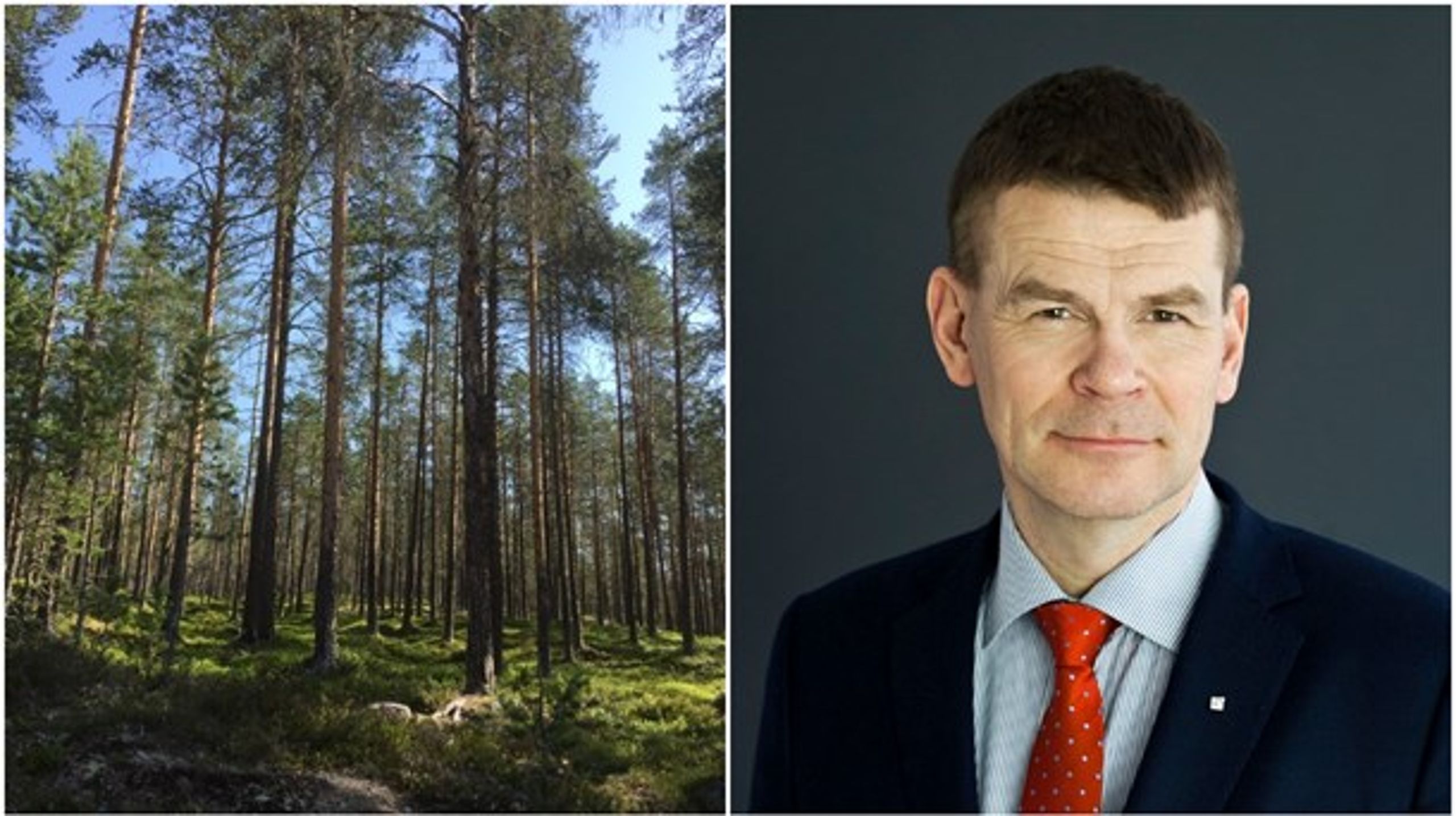 Nyckelbiotopsdebatten har upptagit en hel del av generaldirektör Herman Sundqvists tid. Nu föreslår en rapport att Skogsstyrelsen ska upphöra med registreringen.