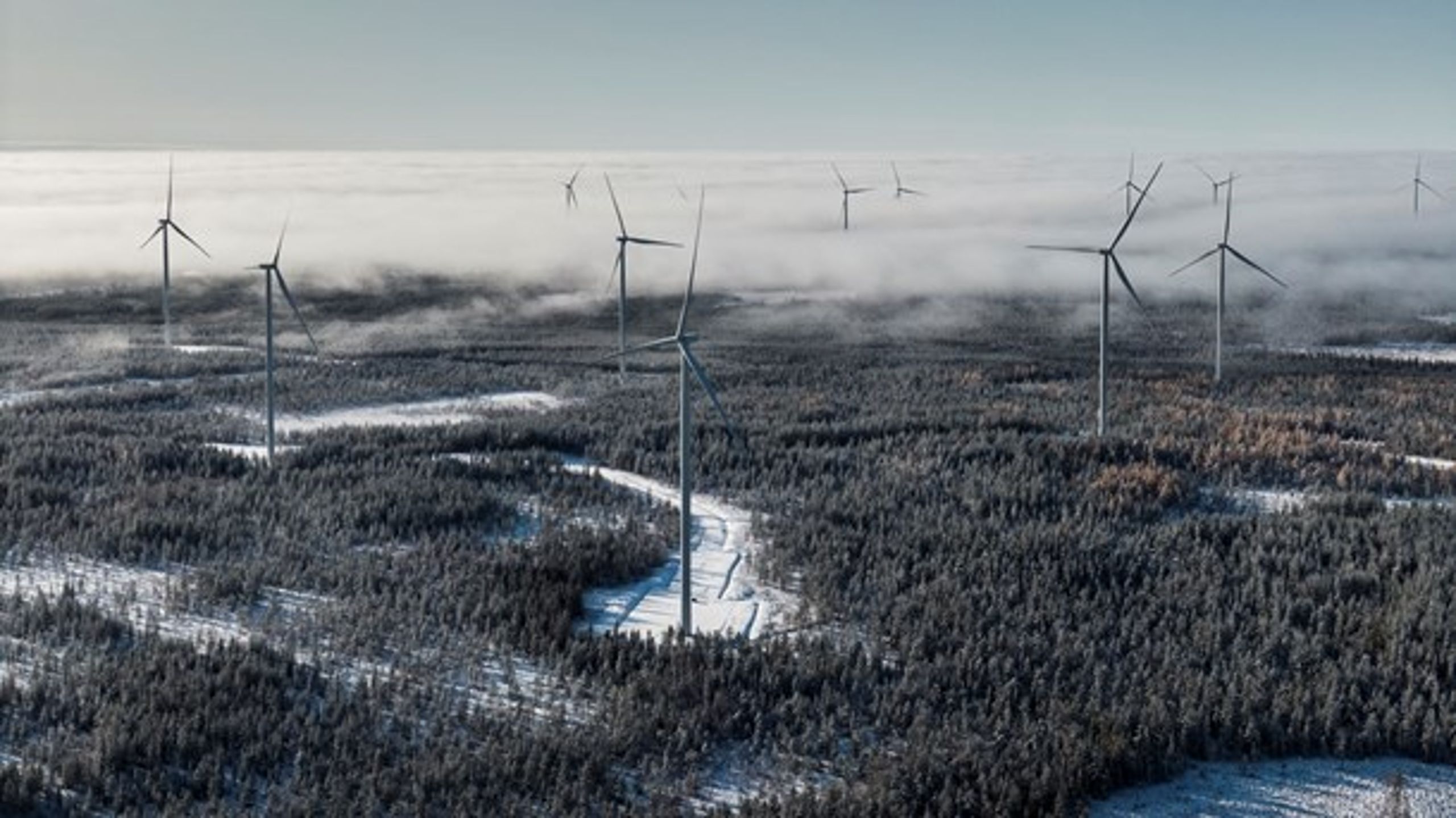 Markbygden utanför Piteå, Europas största vindkraftspark på land, stötte inte på patrull i prövningsprocessen. <br>