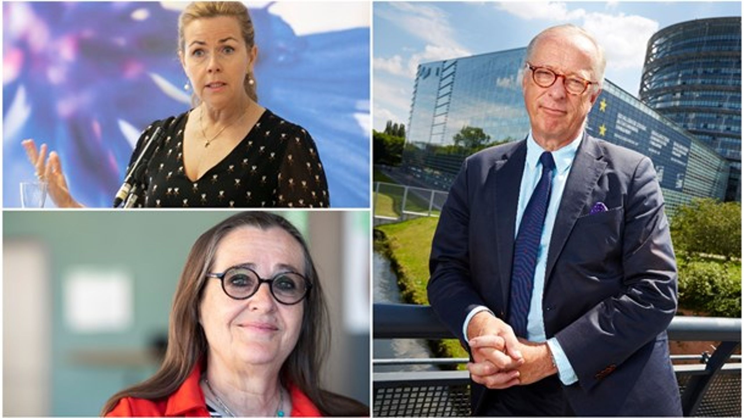 Cecilia Wikström (L), Bodil Valero (MP) och Gunnar Hökmark (M) lämnade alla EU-parlamentet för ett år sedan.
