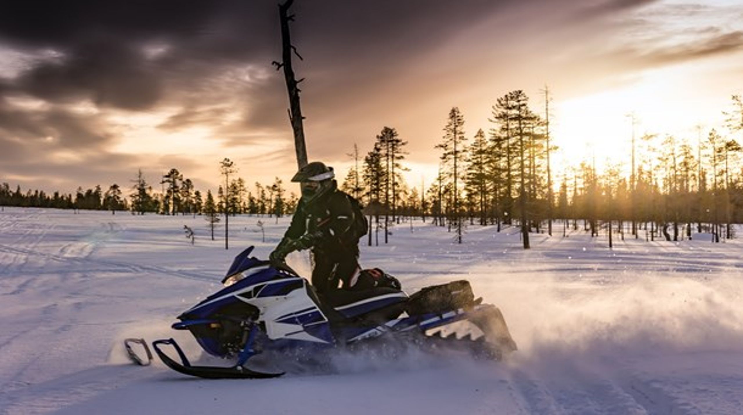 Tillväxt. I slutet av 2018 fanns det cirka 328 000 snöskotrar
och cirka 117 500 terränghjulingar registrerade i Sverige. År 1975 fanns det totalt cirka 28 500 sådana fordon.