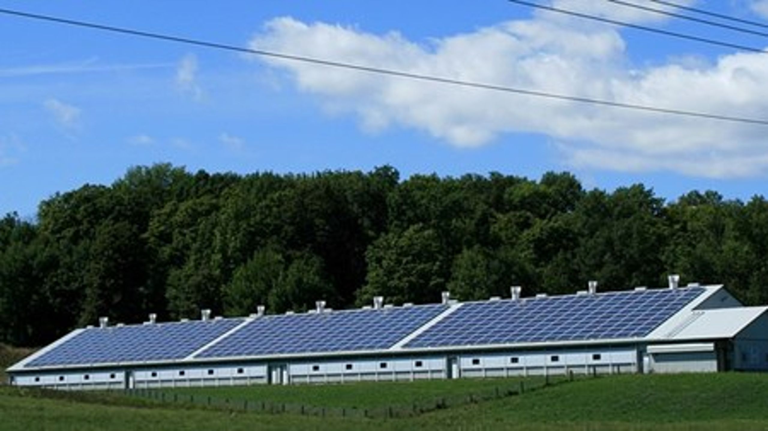El från solceller kan slippa&nbsp;skatt. Men bara om anläggningen ligger i Sverige.