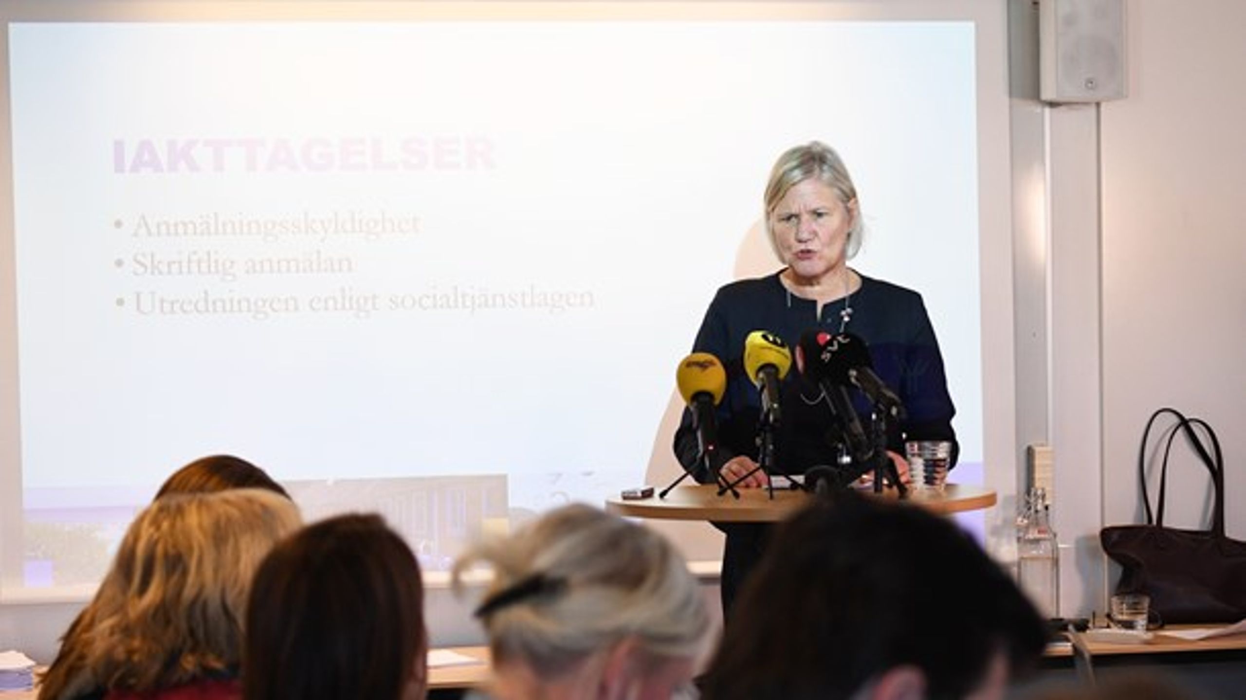 Ann-Marie Begler utredde 2019 hur Ystads kommun hanterat fallet med de gömda barnen.
