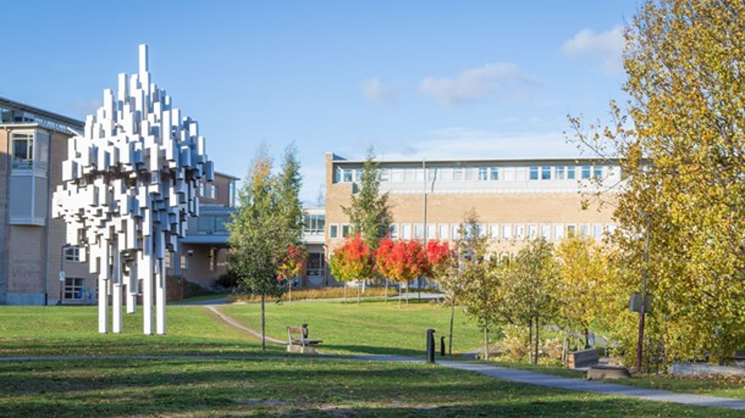 Campus, Umeå universitet.