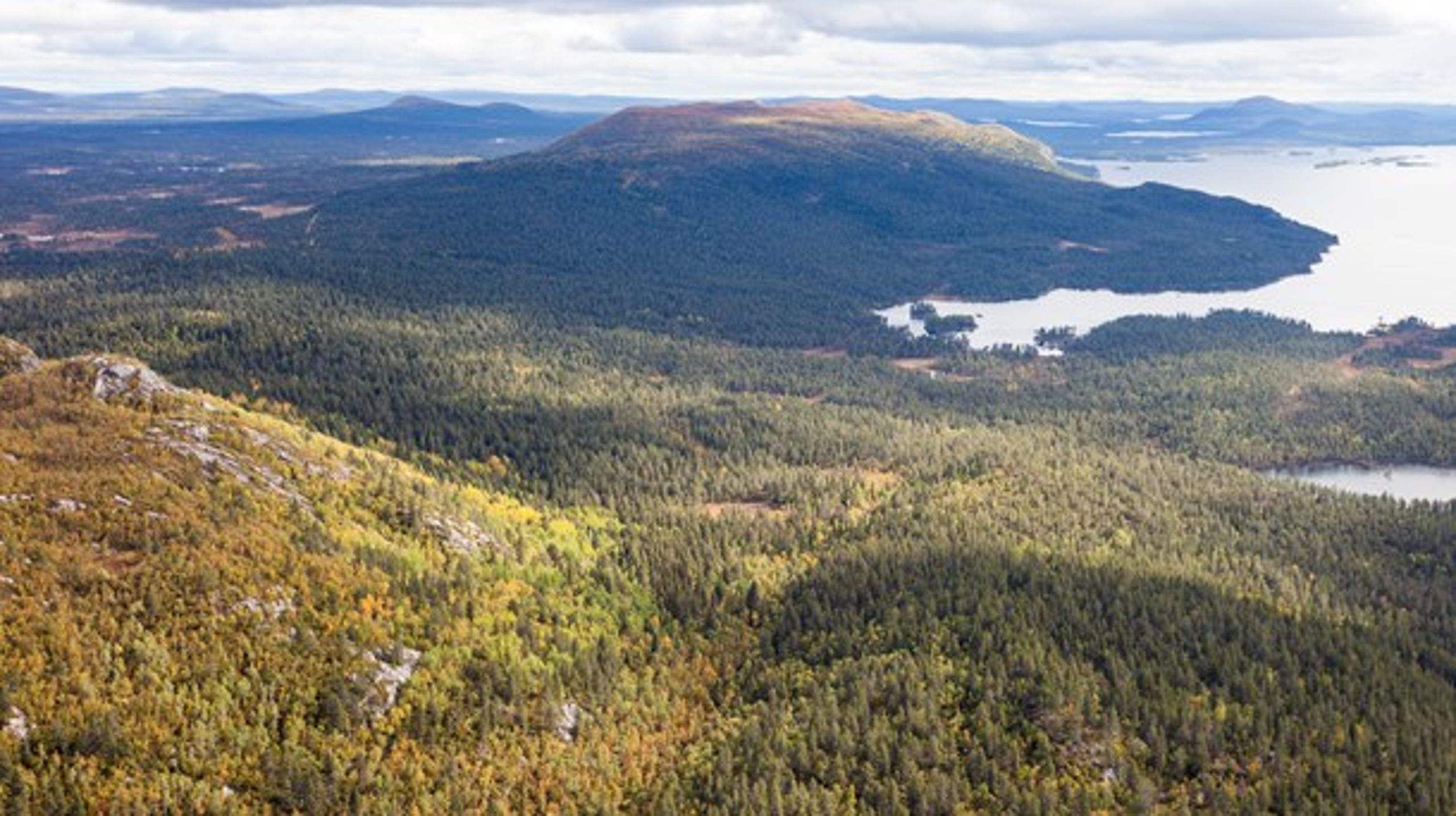 Iksjak är ett stort sammanhängande naturskogsområde strax norr om Arjeplog.