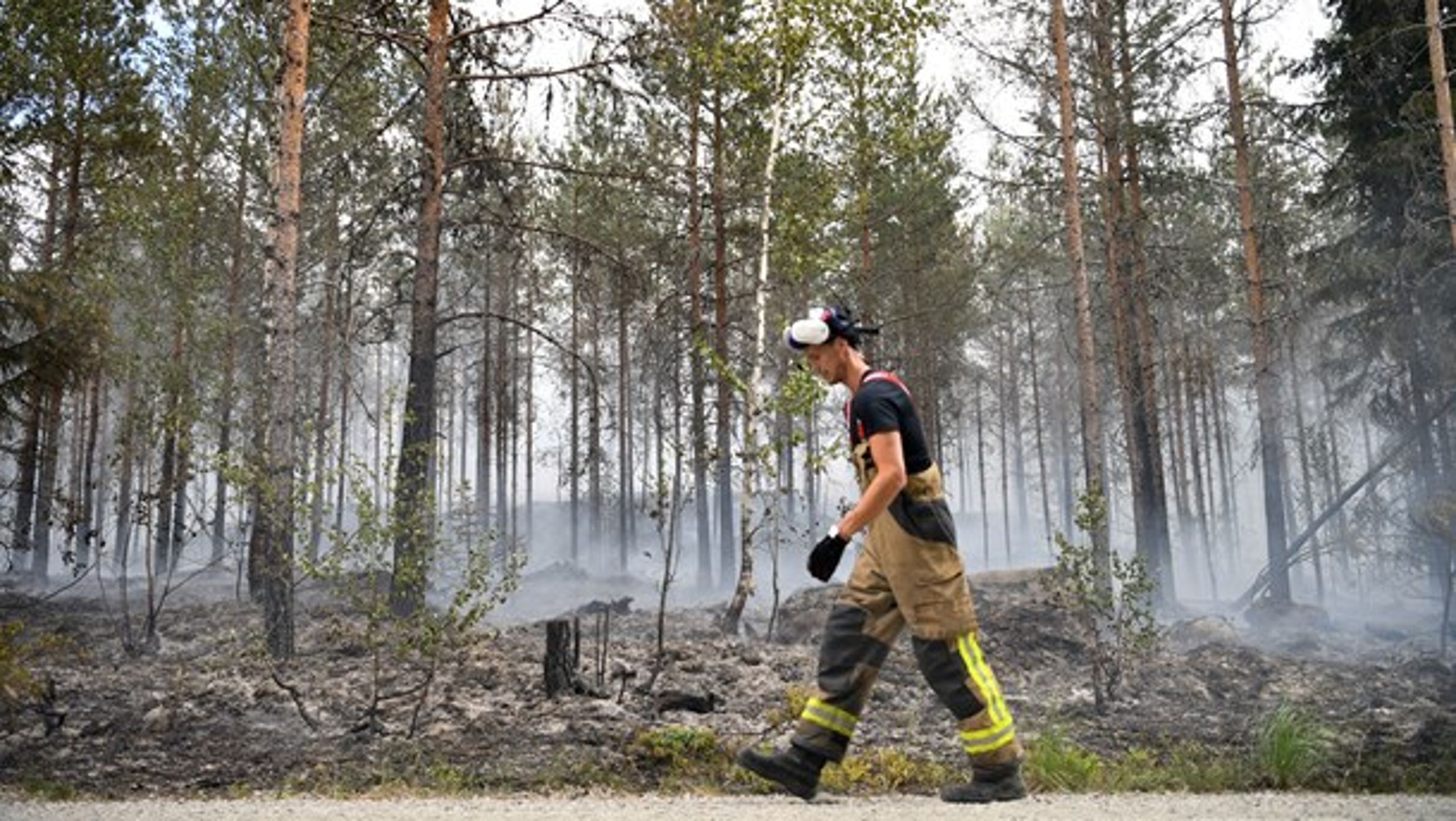 "I utredningarna av de senaste årens omfattande skogsbränder framgår som sagt att uthålligheten över tid är en kritisk faktor, då det kräver mycket personal."
