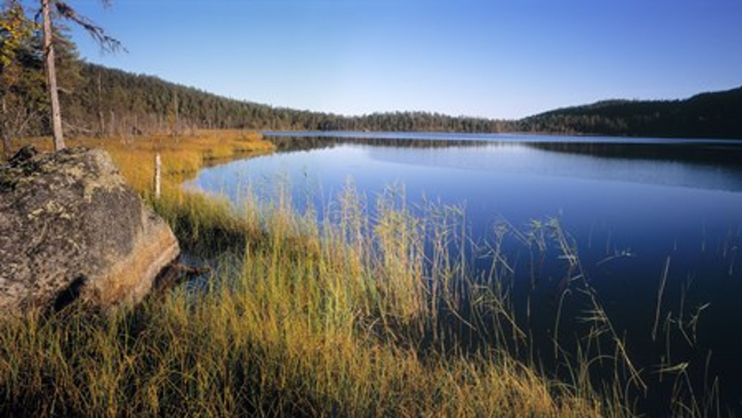 Nationalparken Björnlandet betecknas som en storslagen vildmark och en av landets värdefullaste urskogar. Nu ska den bli dubbelt så stor, anser Naturvårdsverket.