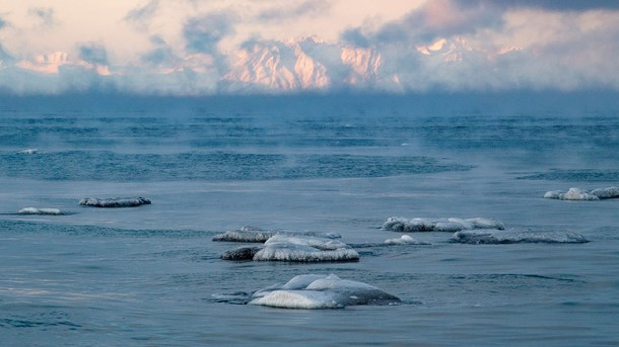 Arktis och Svalbard hör till de områden i världen som redan påverkats mycket av klimatförändringarna&nbsp;