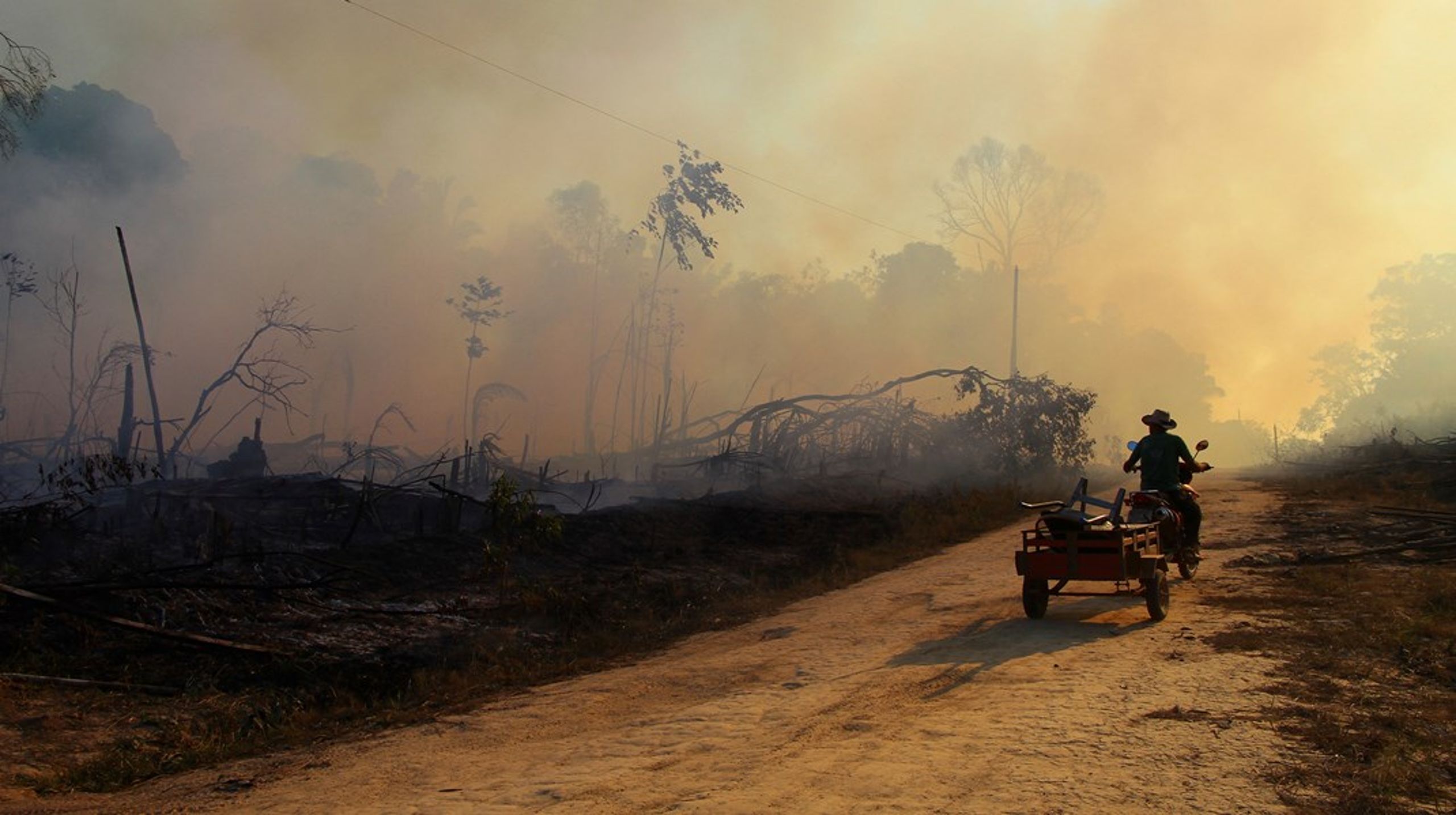 AP-fonderna har bland annat kritiserats för att investera i bolag som bidrar till regnskogsskövling i Amazonas. <br>