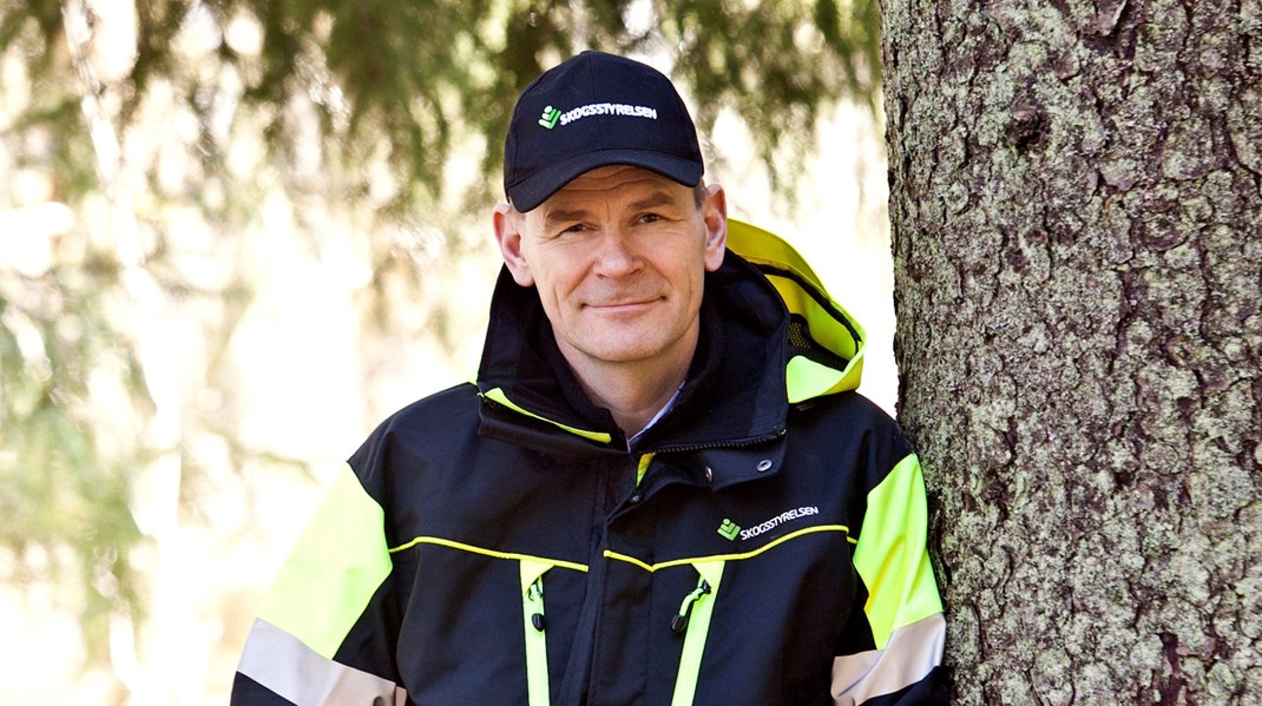 Kritiserad skogsägare. Efter samråd med frun har Herman Sundqvist beslutat att låta skogsbruket vila så länge han är generaldirektör för Skogsstyrelsen.